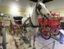 fire chief s buggy 2