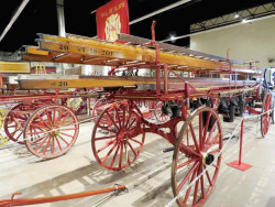 ca. 1870 hand drawn village ladder wagon