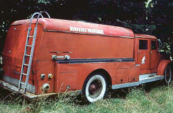 1954 gambori