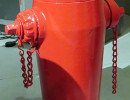 1972 fire hydrant 2