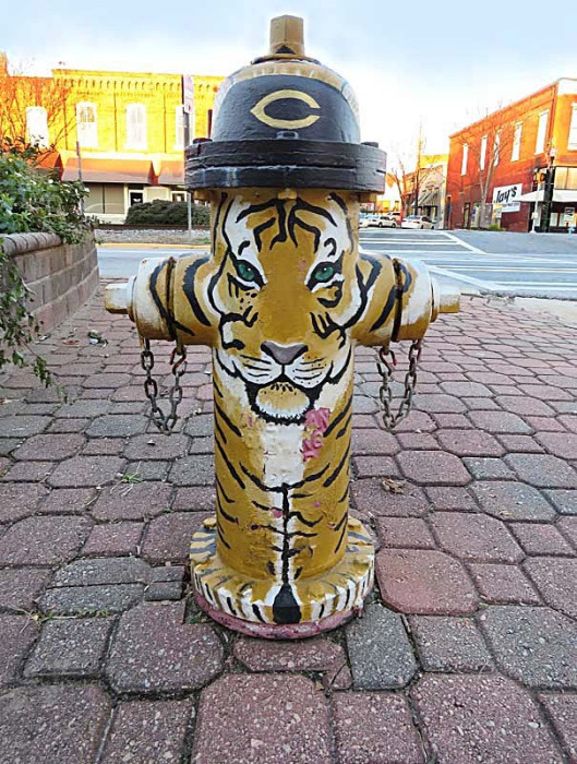 tiger fire hydrantaa