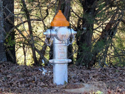 fire hydrant in georgia