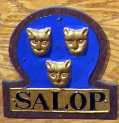 salop fire mark